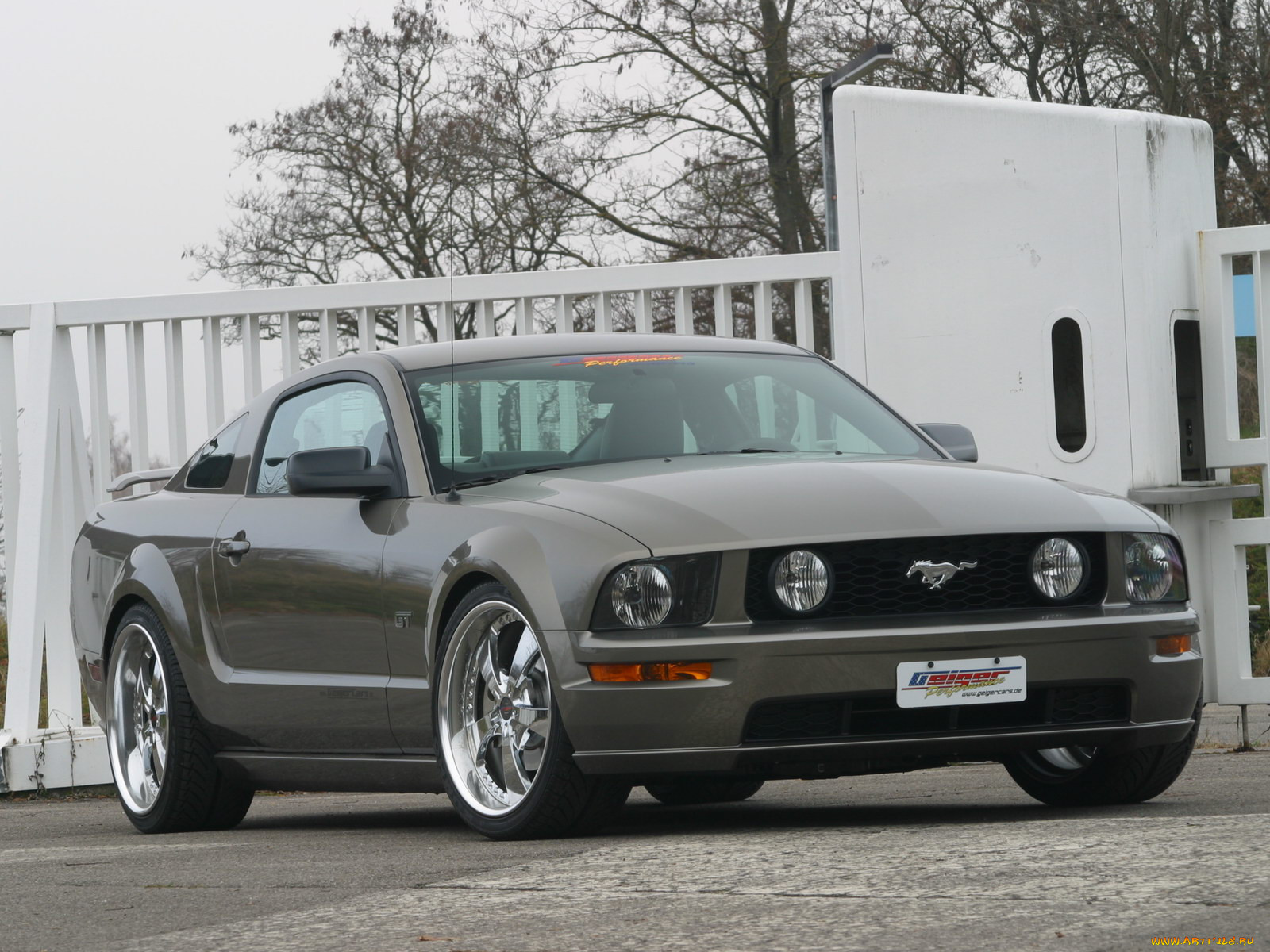 , mustang
